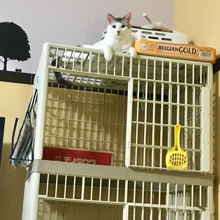 A5bc9150 1fd2 461a b5aa f34fe172711d 1563715920745