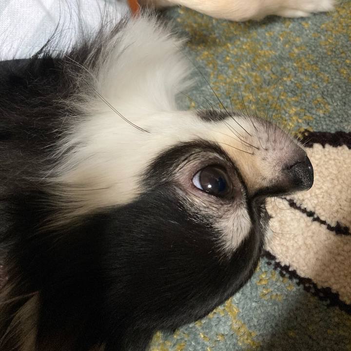 A5bd06ef 8aa9 4df6 880d 63f24d0bb10c 1619880286512