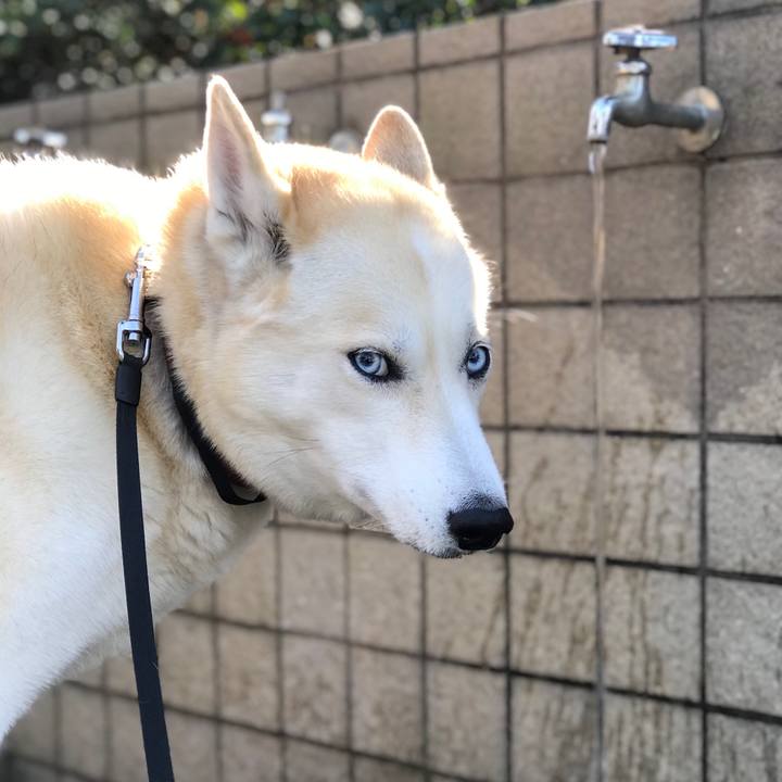 A5bd0ab2 1363 4f38 980e 2fc22debd4e0 1643333940624