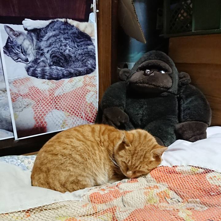 A5bd14fb 86bc 4461 ac45 de8e9eecc801 1608285084758