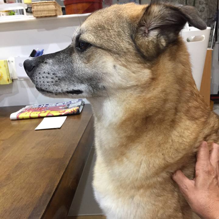 A5bd44ae d341 4795 a511 824a3adb8ede 1536920901489