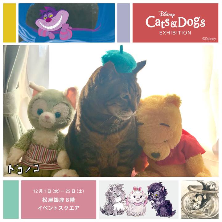 A5bd6f92 dc5a 4246 b4e0 6360135b3b31 1638537362962