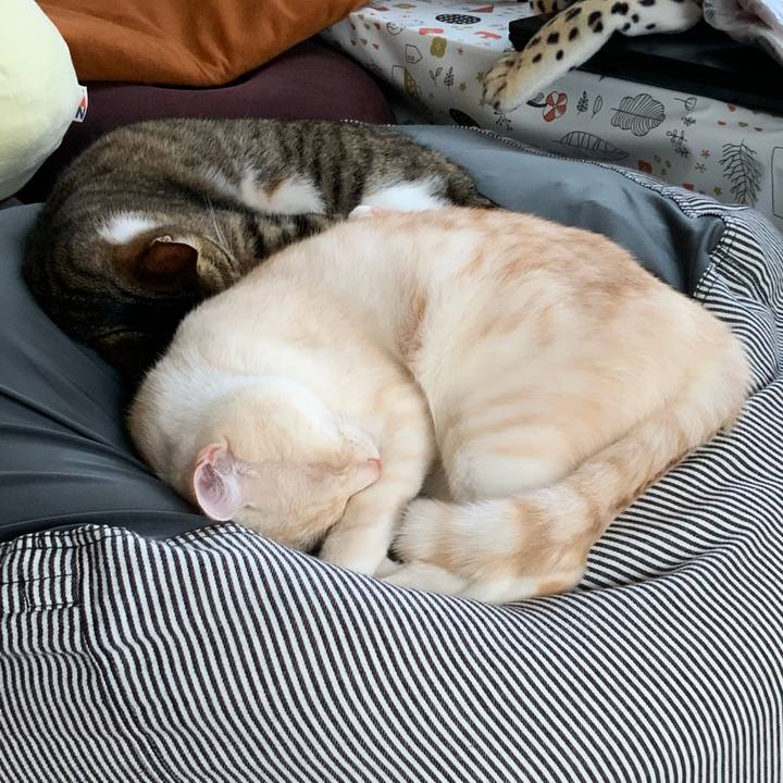 A5bd9bf9 47e5 4b30 9bfa 926dd1bb1201 1669694806990