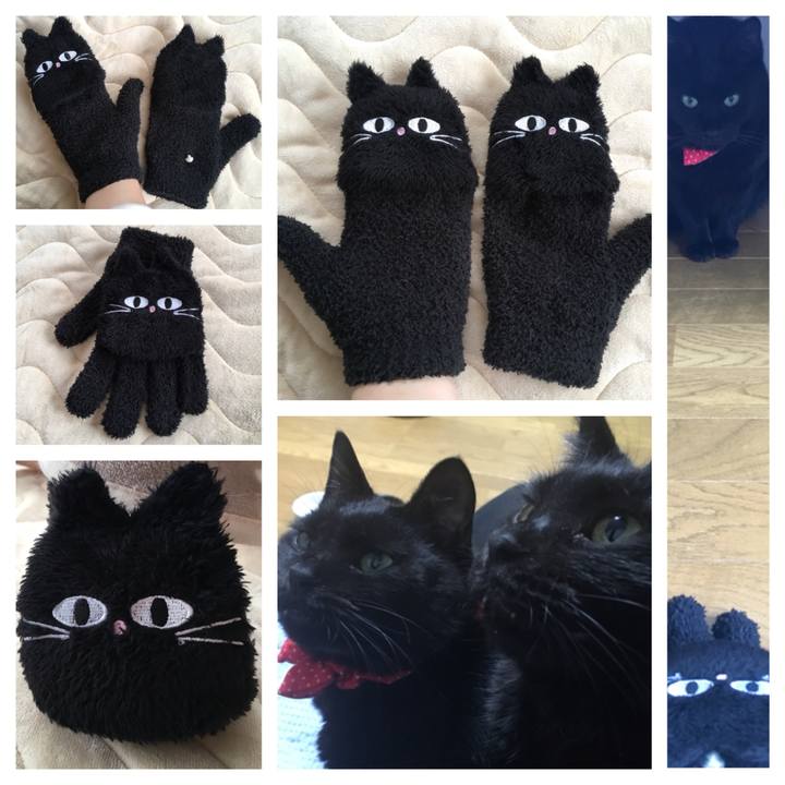 A5bda769 309f 4266 a9b2 cd15569f19c4 1545540363310