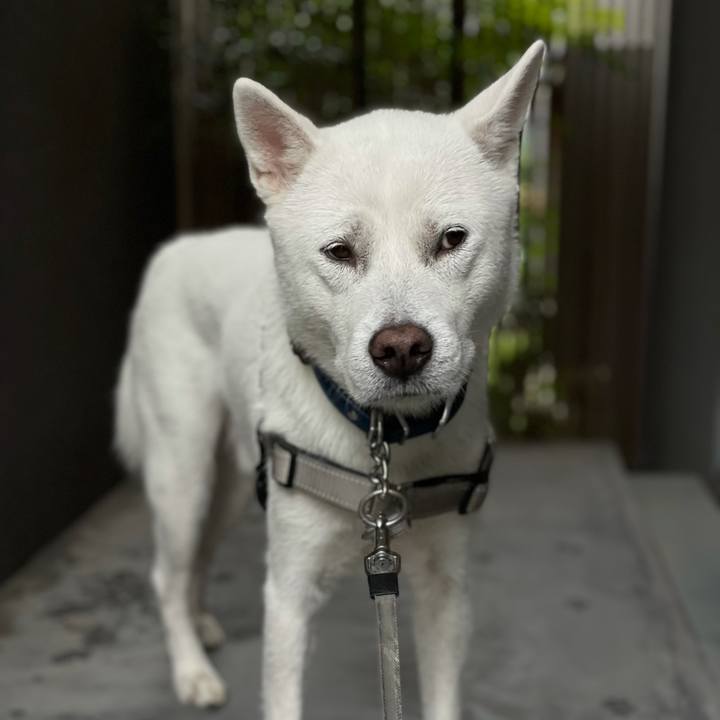 A5bdf282 7bc1 468c a255 4f08b510f277 1634861940693