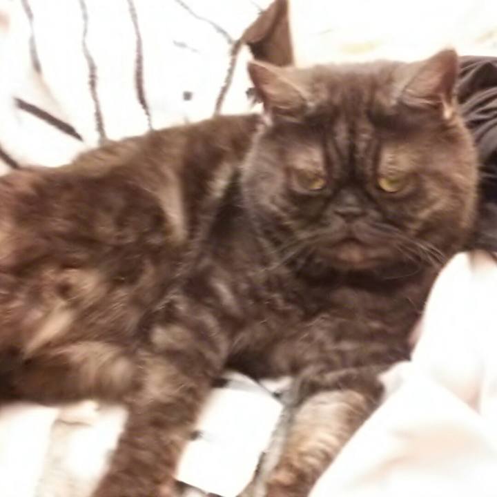 A5be0089 e4d7 4af9 b174 0ce1fef75a46 1525570839090