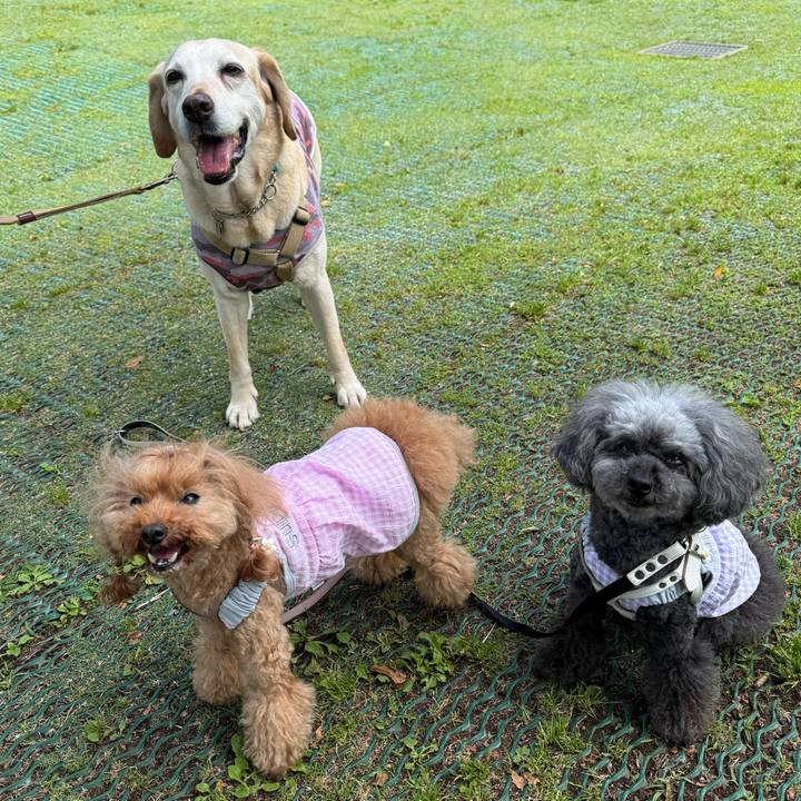 A5be1f1e 7802 4d1b b66e 9e2210313312 1749079188288