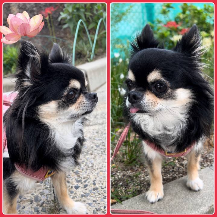 A5be41c9 209e 4218 8e22 0db048af9a61 1664066892355