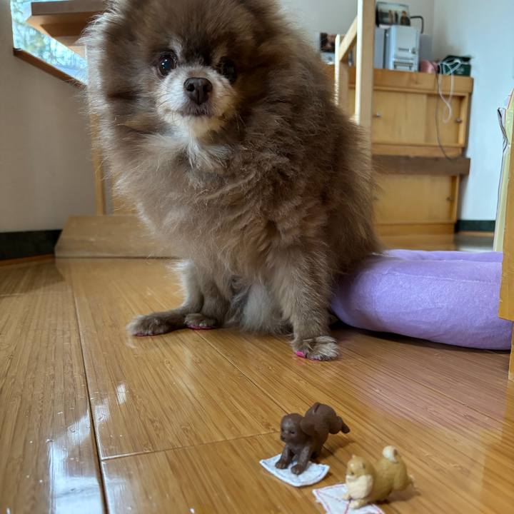 A5be6491 9ef2 4b7f a72c 4fe9969d9501 1766295695101