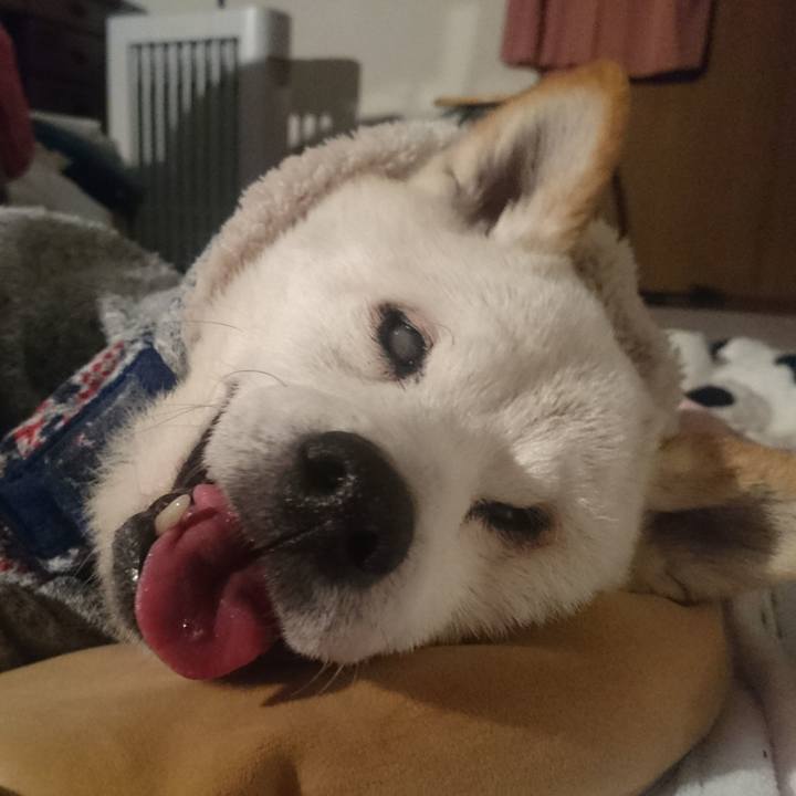 A5be74d2 e689 43b0 81e8 3a424356bc54 1518796099570