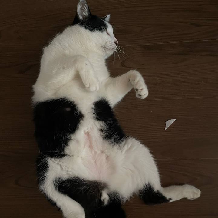 A5bf0c93 77a9 4a26 9724 07cbd264dbe7 1726705963167