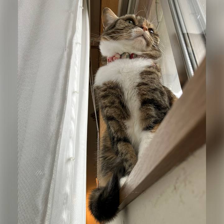 A5bf6111 1ab2 4299 83d5 d872018e980d 1770430410821