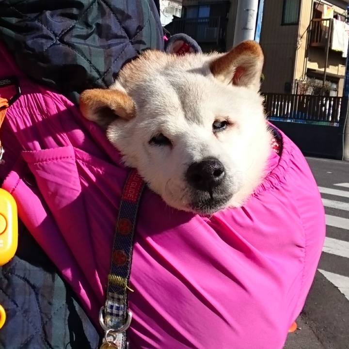 A5bf838a c2ee 4a2a bd7e 171d2dd69bc9 1514513669631