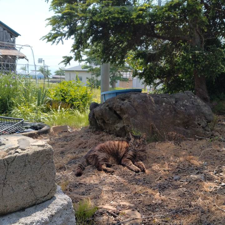 A5bf9f29 20ea 47f2 8994 02e999eefdce 1749436507696