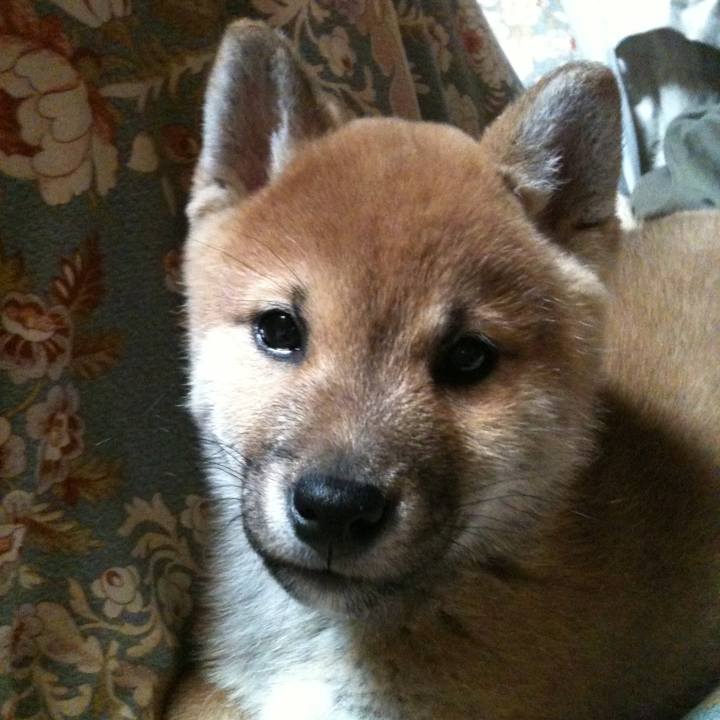 A5bfb1e6 a1d7 4fe9 a583 a4d94dafbc2d 1523704393429