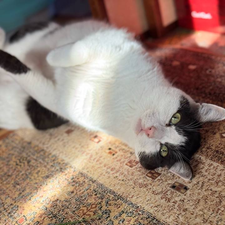 A5bfb2f2 74b2 4ecd aa2e 1d2485ddebd0 1732240933064