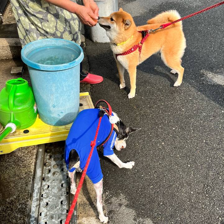 A5bfb682 ea59 4780 8924 e78f8b574483 1654391714524