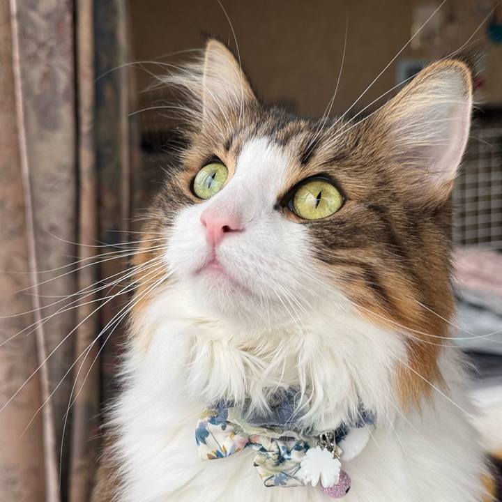 A5bfbe3d c22c 40d7 bbaa 474c9e1bc9c6 1764394664718