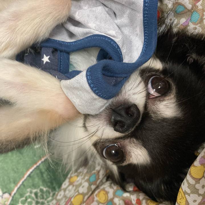 A5c02489 8a7e 45a2 8943 94a1c9763eb9 1654960886054