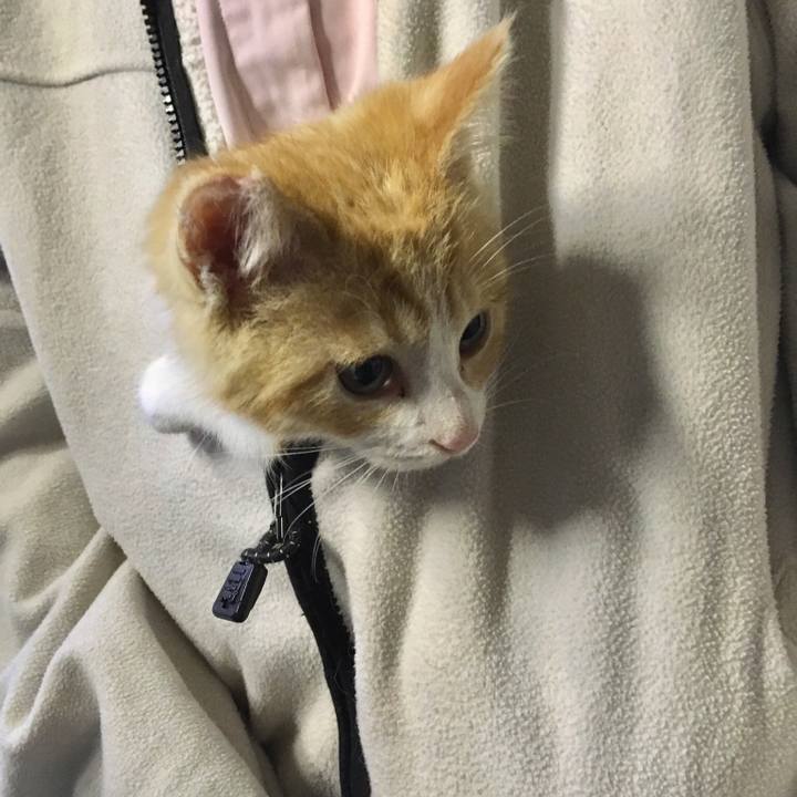 A5c02497 f08a 4529 a786 d2055fa1e629 1543223272023