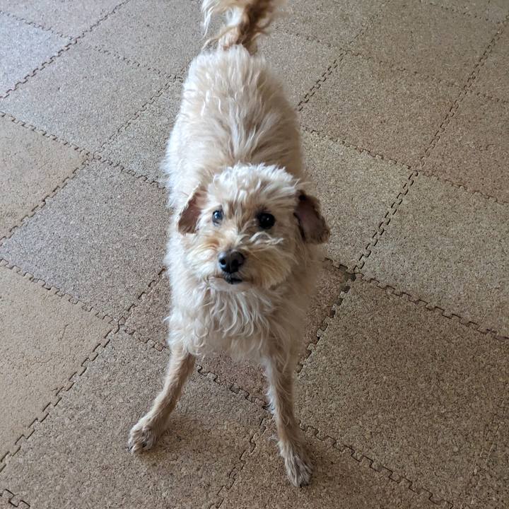 A5c024c2 82ee 42c0 85d9 3498ece44a90 1711270501277