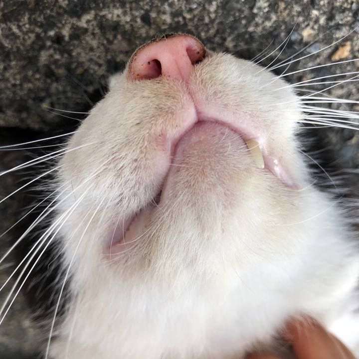 A5c02956 2ab0 48b5 b6ec ed821bceda38 1528550591015