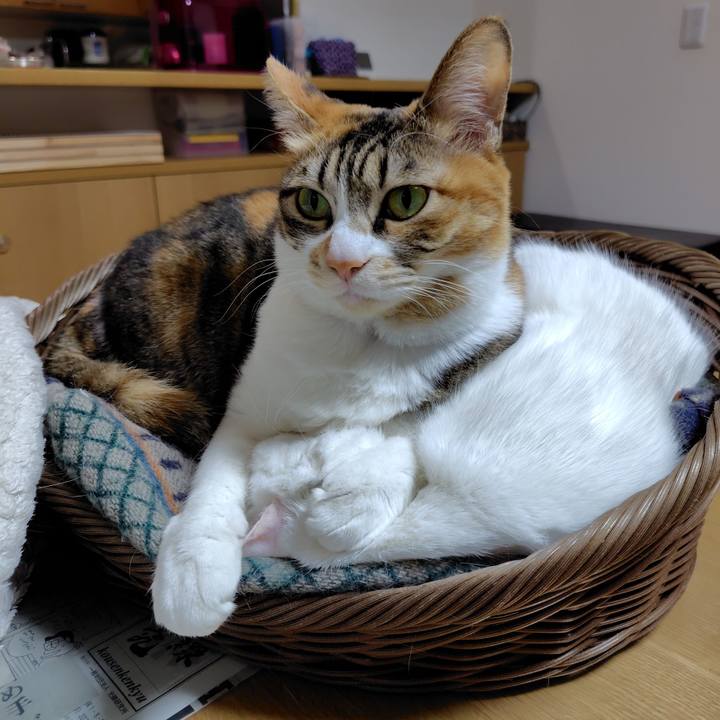 A5c030d7 0f77 4658 86d2 4886138032bf 1770963413117