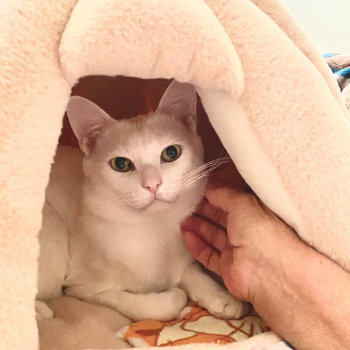 A5c048f5 2067 45a3 ae2e d4b247822ebd 1708849405948