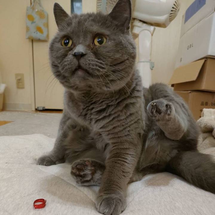 A5c068ce 6ebe 4e1c b8d6 bd167761594c 1662445280913