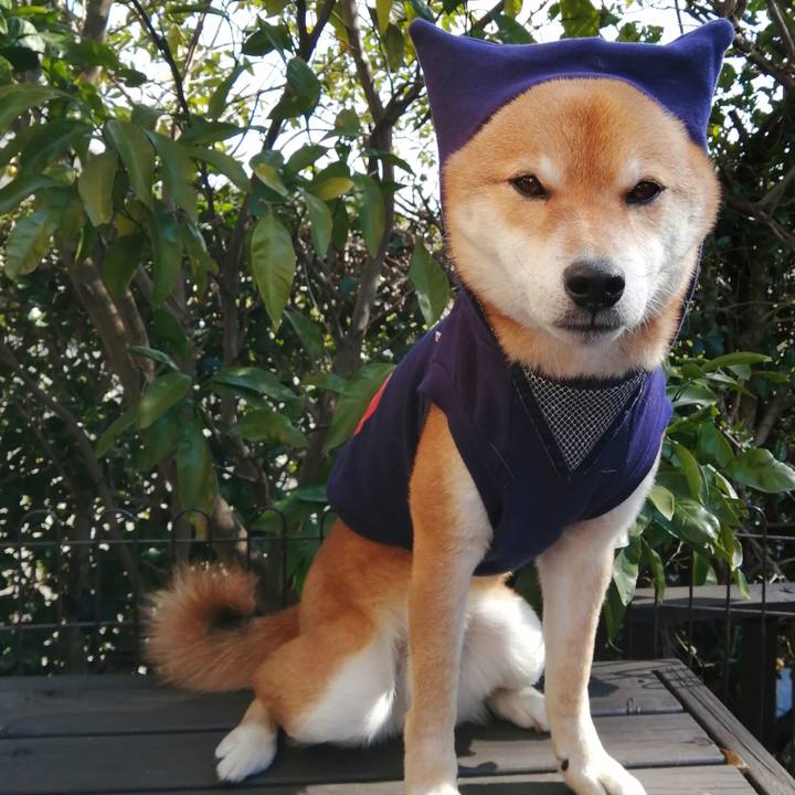 A5c076fe b12f 4473 85b5 5b58dca3fba7 1581474197729