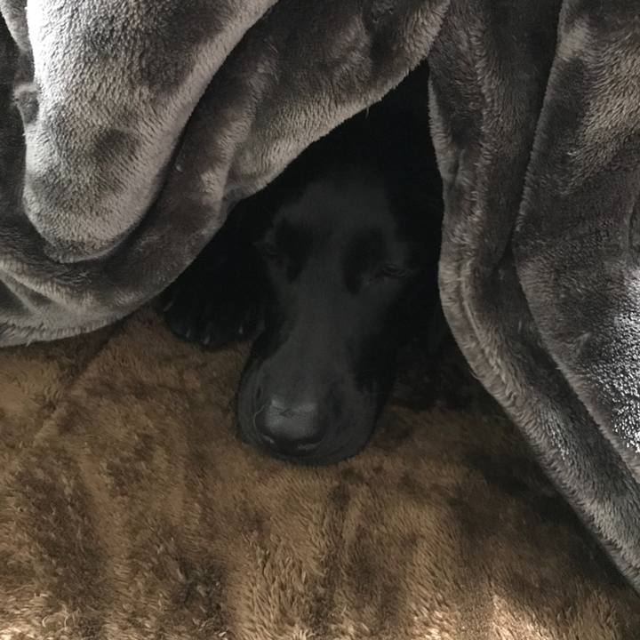 A5c07785 b10e 430a 82a2 24ebaee3a9b7 1512992662254