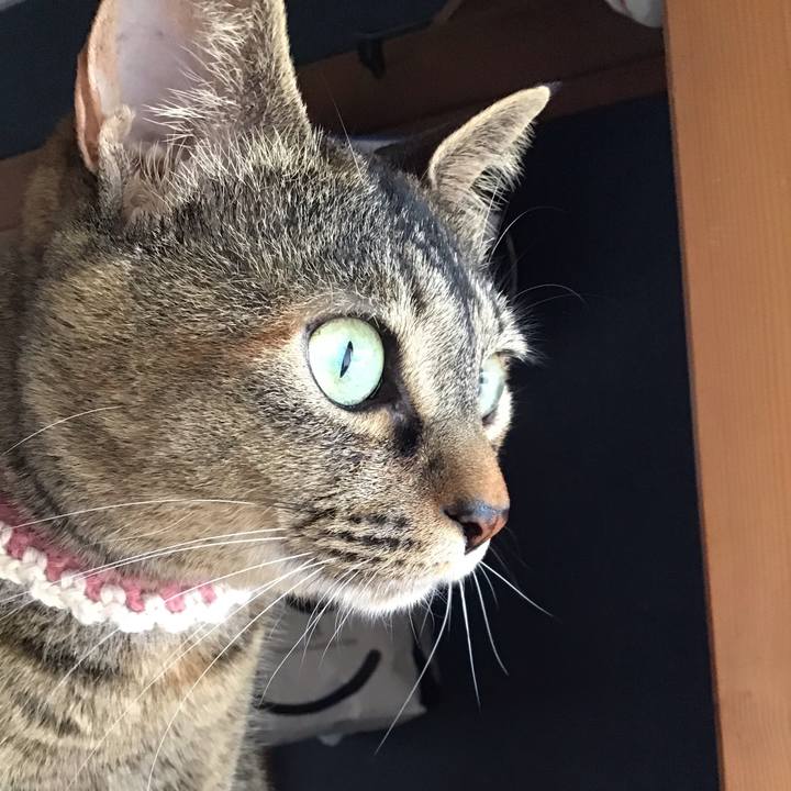 A5c07e54 2a3a 4578 b0ba 21964b4dd727 1653555076433