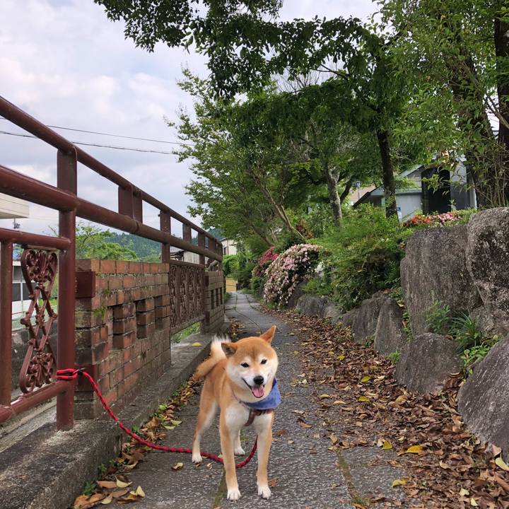 A5c091f6 7fa6 4bc7 9d82 1aaf1b1b080e 1528107775251