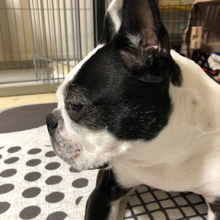 A5c0acb0 a2e8 48e8 ba51 5ad552710425 1551795880315