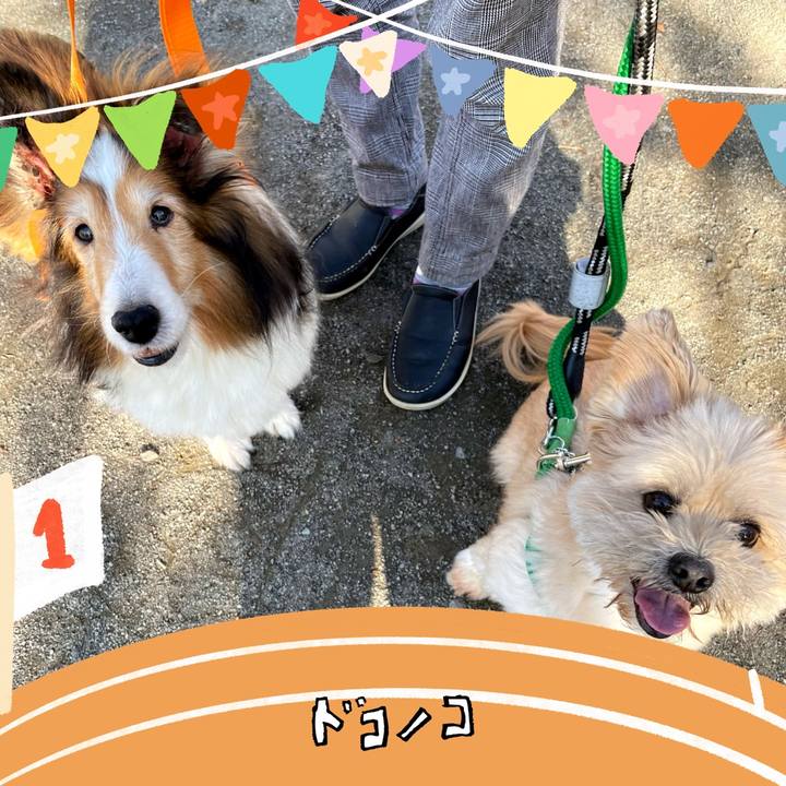 A5c0ce69 847b 4d5c 8cc7 1871adc51184 1761387073469