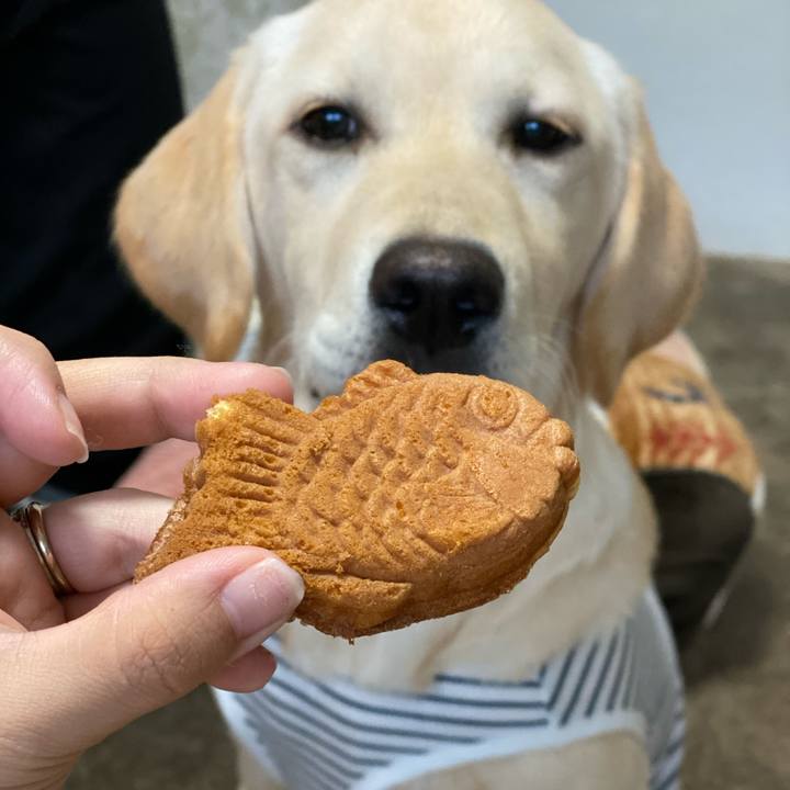 A5c0cf90 cd74 41bd a76b 8e859ccb5428 1617525022206