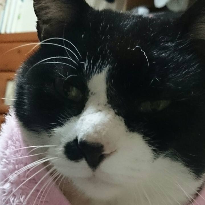 A5c0d104 9de9 4c0a 9a1d 54d4d08101a5 1513171357526