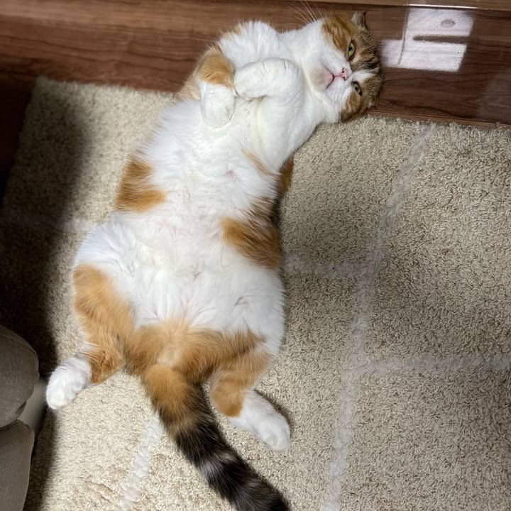 A5c0d6d4 fd06 47d8 8096 101b66f67f22 1726390148763