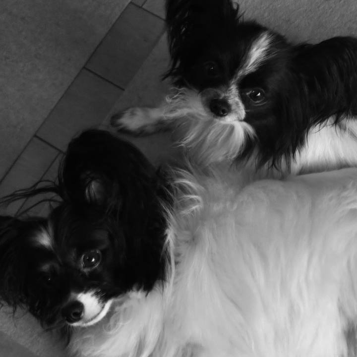 A5c0ee14 850e 4dc9 9660 f5c518ba226b 1591052992483