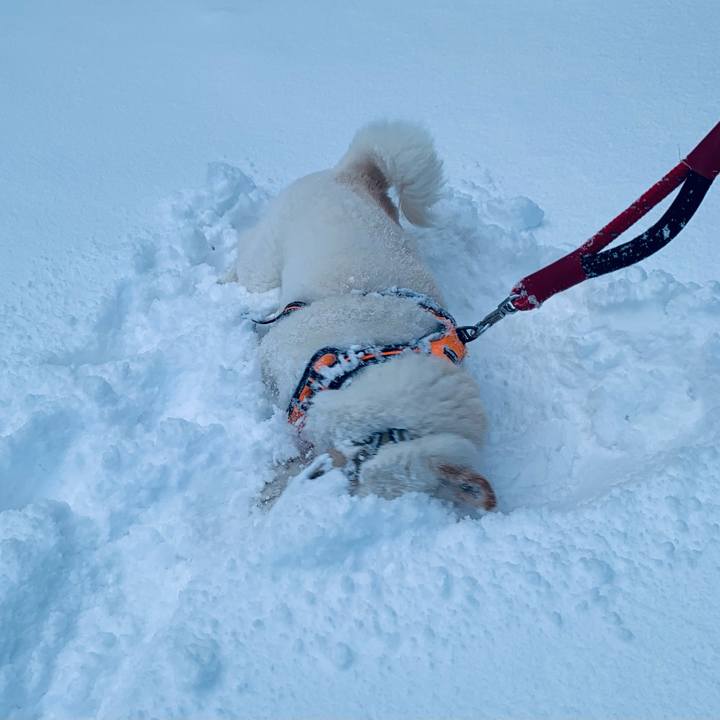 A5c11bf5 4720 4cbf a3b8 c2429931532f 1675378092676