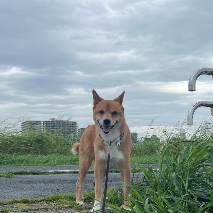 A5c11d7c 4b09 4c98 91be ae18a64655f4 1754865369343