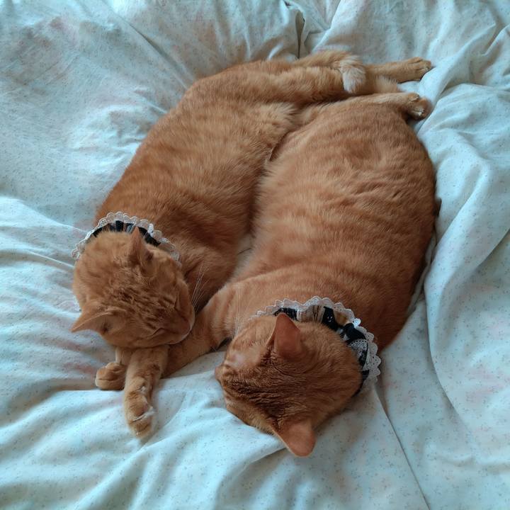 A5c13d84 8d01 4775 88e6 6465cab7b89d 1602574846333