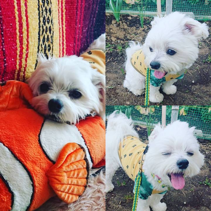 A5c14a25 5f52 4a0f 88e4 cb45a92f9a93 1583910787094