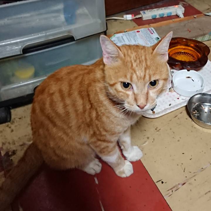 A5c14be4 c3f4 4eb3 85d5 31f80570883a 1565380463739