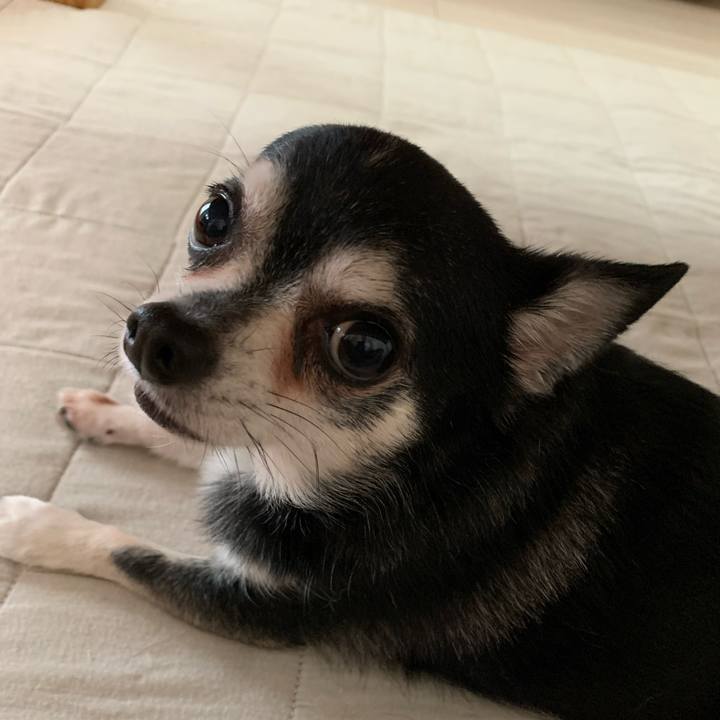 A5c19e25 7294 4a62 ad5e 9d6fc76ee7bb 1661726410524