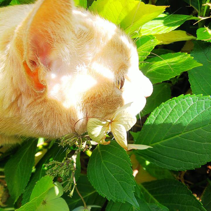 A5c1b089 9453 4c17 8f48 41cdd350b2bb 1663390521990