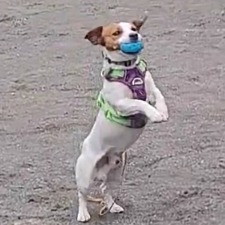 A5c1cc24 3500 4f81 a4c3 2d03295d199c 1682927368280