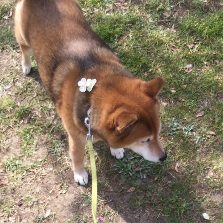 A5c1f0cb fba6 4701 a797 3ee0e21b0fcc 1581680375251