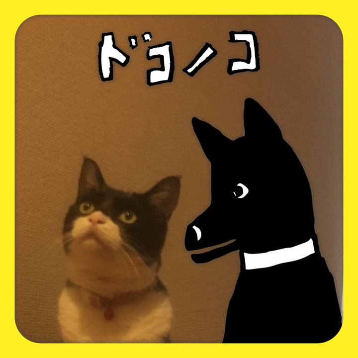 A5c215c7 dc72 4ba9 8f71 dafec06fcbcc 1622858193778