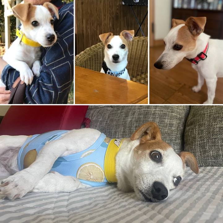 A5c2167c 16d0 4384 a188 dbfaa3345f89 1753417516623